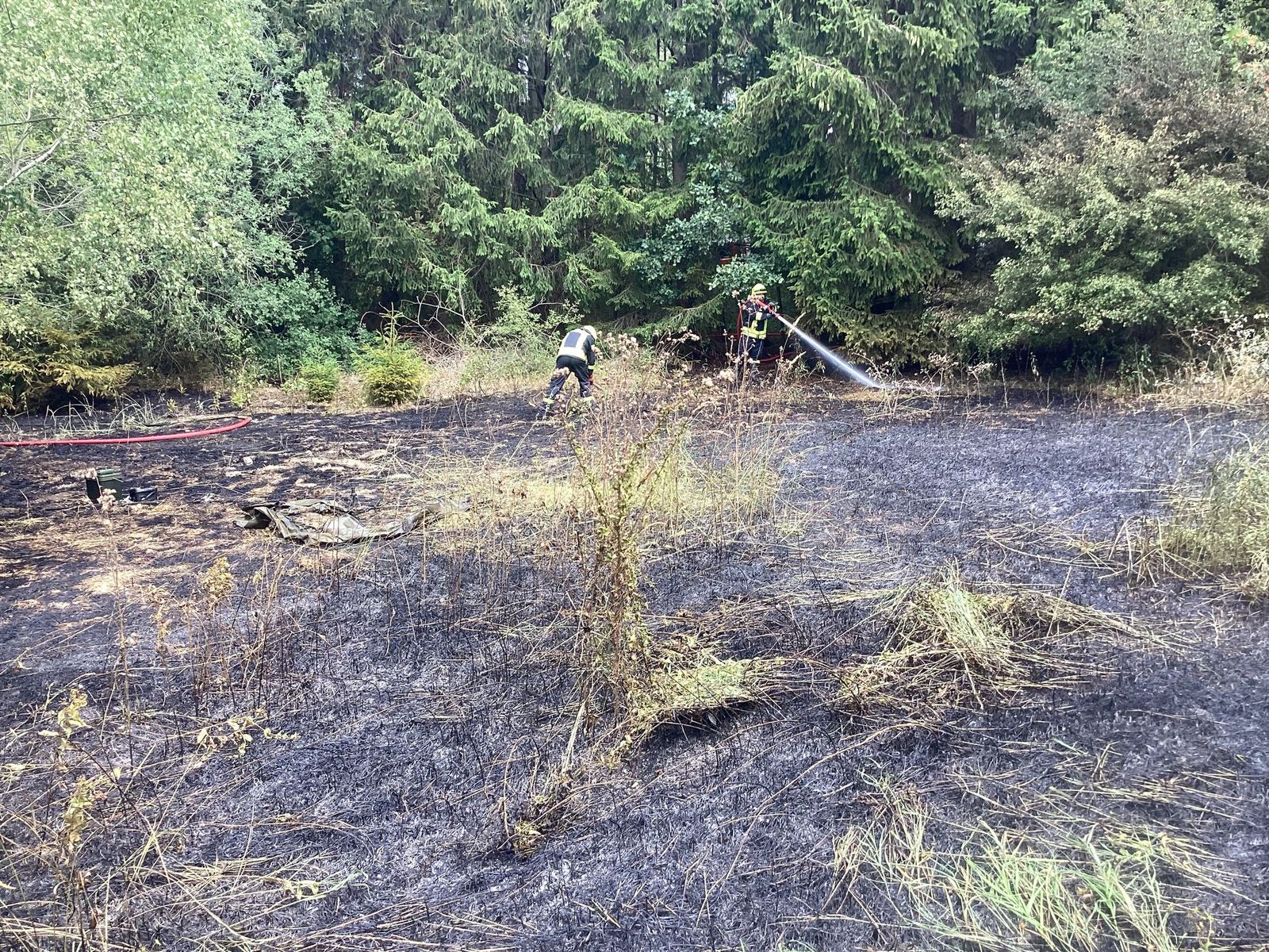 Überörtlicher Einsatz - Brand Wald Wiese Feld Überörtlicher Einsatz - Brand Wald Wiese Feld