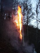 Brand - Baum