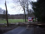 Sturm - Baum über Straße