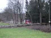 Sturm - Baum über Straße