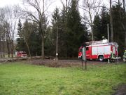 Sturm - Baum über Straße