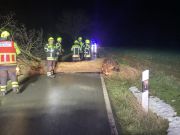 Sturm - Baum über Straße