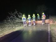 Sturm - Baum über Straße