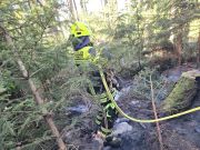 Flächenbrand