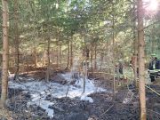 Flächenbrand