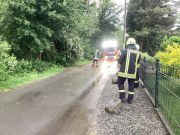 Ast droht auf Straße zu stürzen