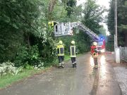 Ast droht auf Straße zu stürzen