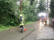 Ast droht auf Straße zu stürzen
