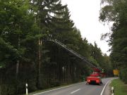 Beseitigung Sturmschäden nach Unwetter