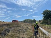 Feld- bzw. Waldbrand
